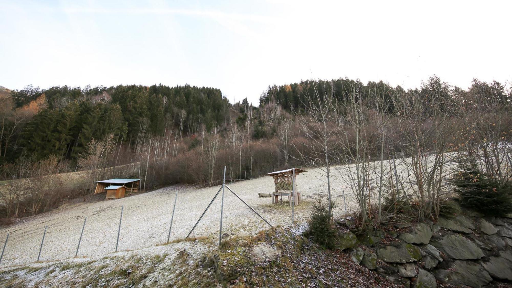 Hochfeldhof Διαμέρισμα Zell am Ziller Δωμάτιο φωτογραφία